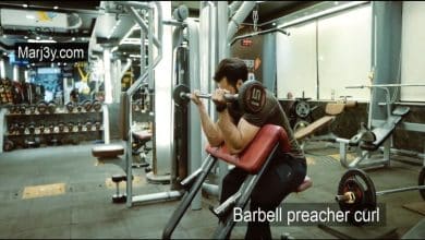 تمرين الحصان للبايسبس بالبار barbell preacher curl