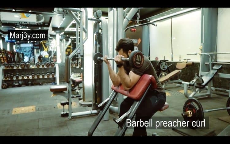 تمرين الحصان للبايسبس بالبار barbell preacher curl