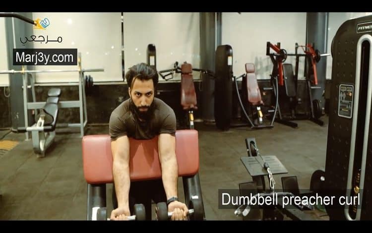 تمرين الحصان بايسبس بالدمبل Dumbbell preacher curl