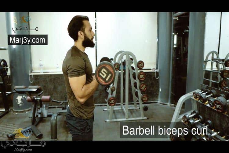 تمرين السحب بالبار للبايسبس Barbell biceps curl