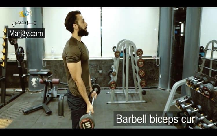 تمرين السحب بالبار للبايسبس Barbell biceps curl