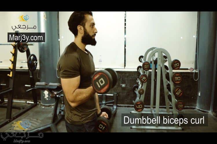 تمرين السحب بالدامبل للبايسبس Dumbbell biceps curl