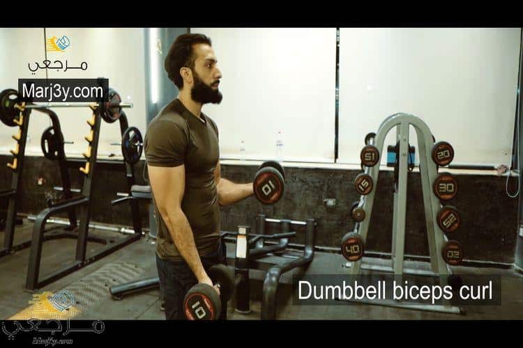 تمرين السحب بالدامبل للبايسبس Dumbbell biceps curl