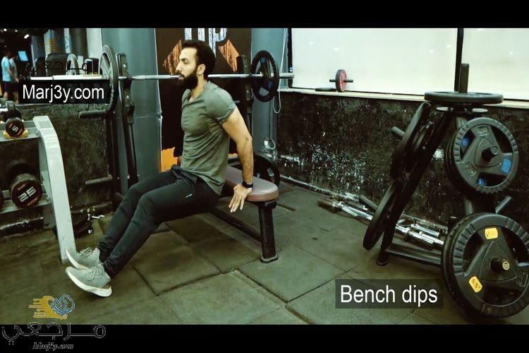 تمرين بنش دبس Bench Dips