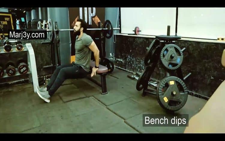 تمرين بنش دبس Bench Dips