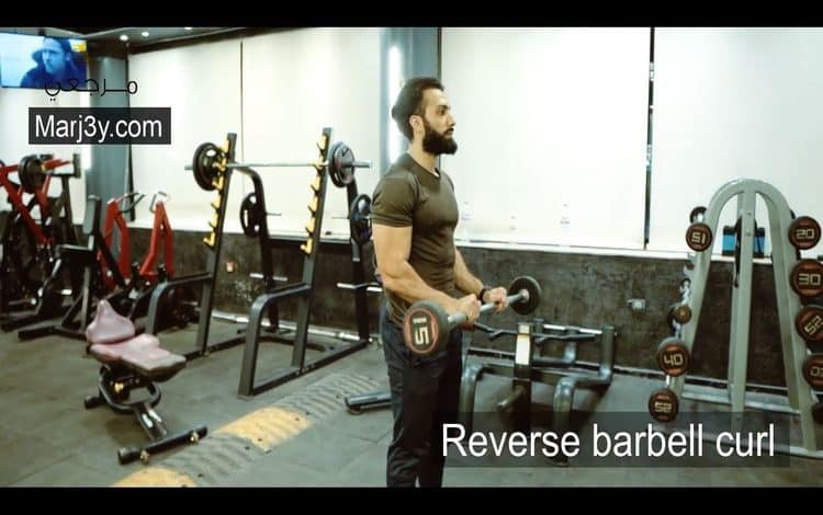 تمرين سحب عكسي للبايسبس reverse barbell curl