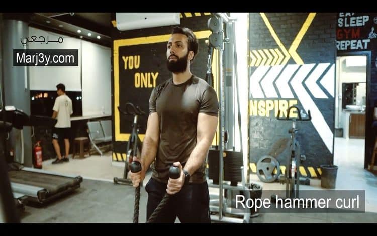 تمرين هامر كرل بالحبل Rope hammer curl