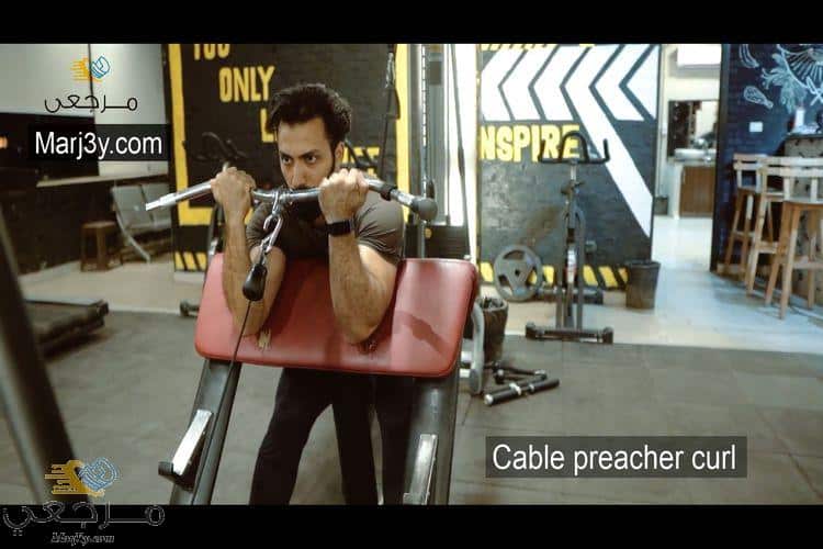 تمرين الحصان بالكابل cable preacher curl