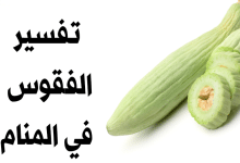 الفقوس في المنام