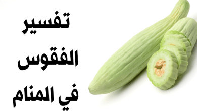 الفقوس في المنام