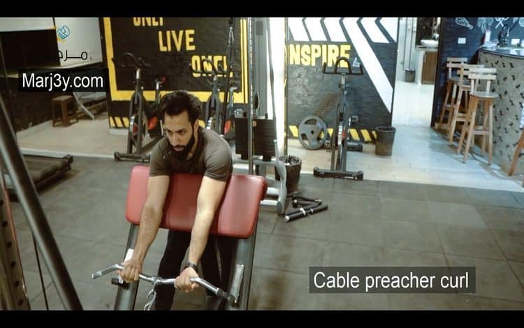 تمرين الحصان بالكابل cable preacher curl